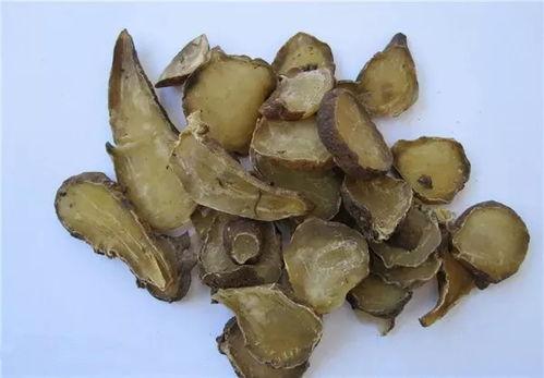 吃附子可以吃瓜吗