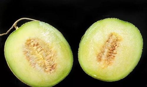 最烦等公交 吃瓜,日常生活的趣味瞬间