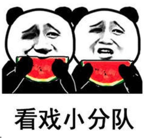 吃瓜表情包集合