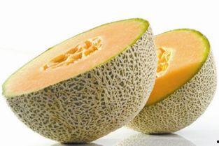 哈密瓜晚上吃可以吃吗