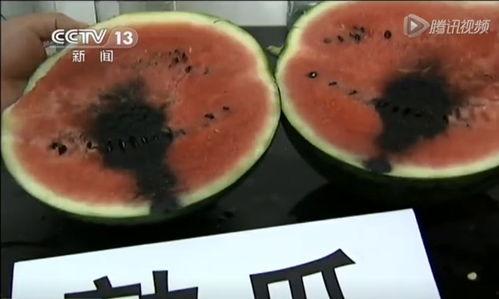 吃瓜视频打包,热门事件幕后真相全解析