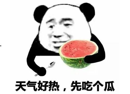 离谱吃瓜表情包