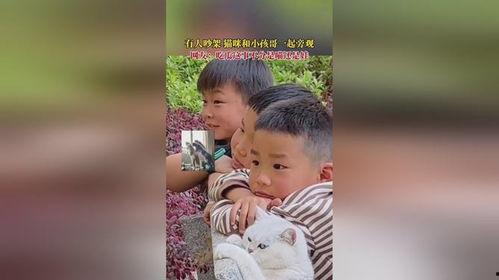 看朋友吵架吃瓜