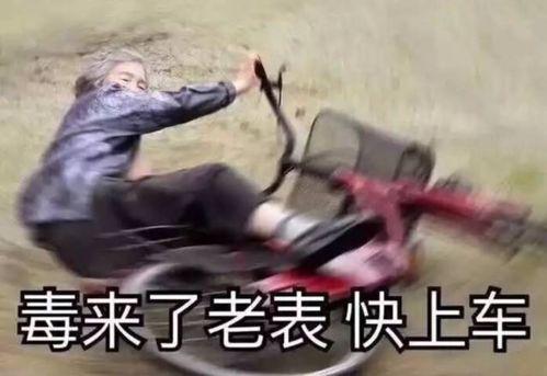 雪中悍刀行吃瓜表情包,吃瓜表情包背后的江湖风云
