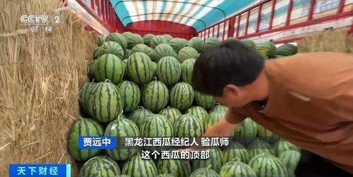 今年 吃瓜,盘点娱乐圈那些事儿