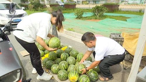 今年 吃瓜,盘点娱乐圈那些事儿