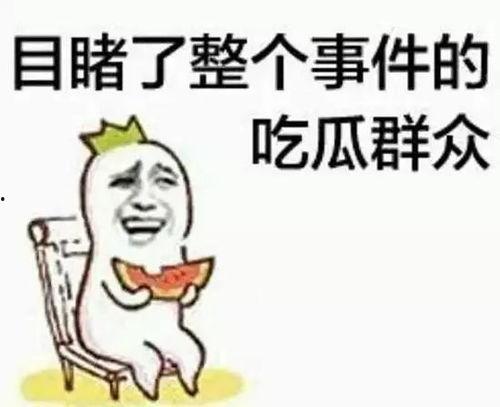 调皮猪头吃瓜群众,揭秘网络热点的趣味与争议