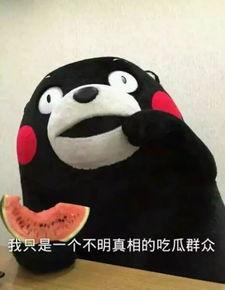 调皮猪头吃瓜群众,揭秘网络热点的趣味与争议