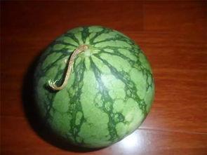 瓜挑贵的吃
