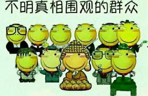 小米解说吃瓜群众,揭秘吃瓜群众的趣味生活